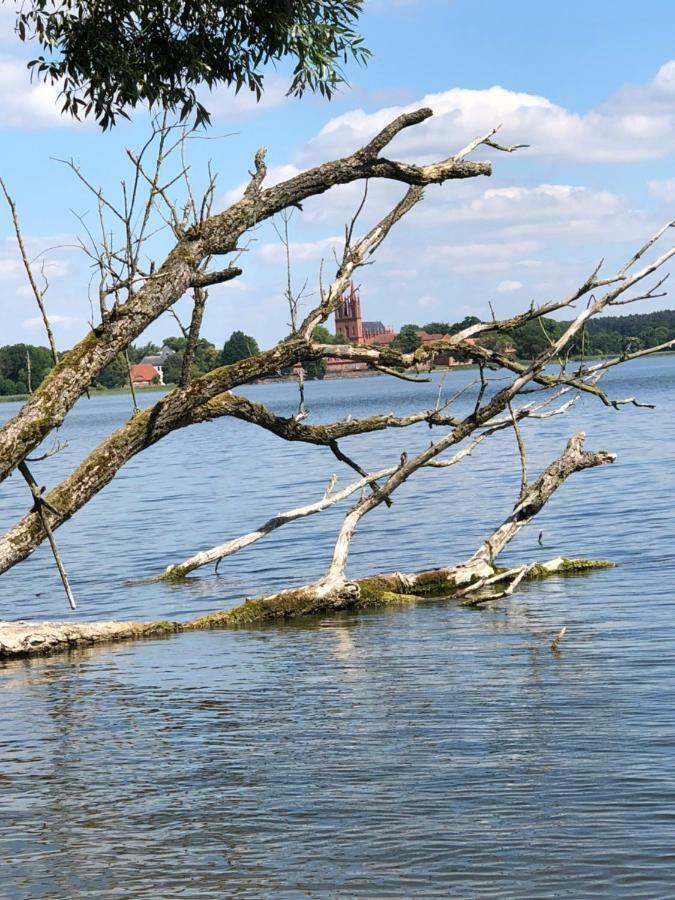 Am Dobbertiner